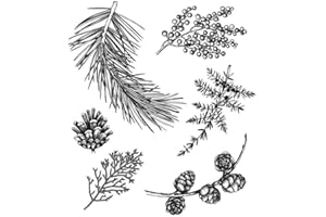 BRIARTW Various Christmas Leaves Stamp for Card Making Clear Rubber Stamp for DIY Scrapbooking Paper Crafting Arts Crafts Scrapbooking Supplies Handmade Crafts Scrapbook Photo Album Decor