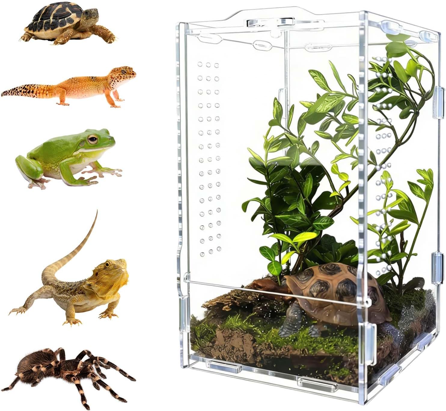 Terrario de araña, 12*12*10cm, Recinto de reptiles, Recinto acrílico para terrario de reptiles, Terrario para gecos,Caja de acrílico para reptiles, adecuado para contenedores para reptiles y anfibios