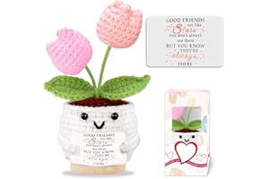 YALUCKY Friendship Gifts for Women Tulips Crochet Flowers Funny Small Christmas Birthday Gift for Women Personalized Friends,Colleague,Bestie Galentines Gift Cute Stuff Desk Accessories