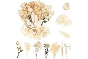 LAUMOE Fleurs Séchées, Fleurs Sechees Naturelles Fleur Séchée pour Bougies Fleurs Sechees Fleurs Séchées Vrac Fleur Sechees Decoration pour Bricolage Résine Epoxyn Art DIY Artisanale Scrapbooking