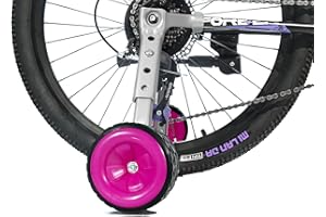 MOSHAY Roll Over Image pour zoom dans les roues d'entraînement de vélo pour enfant de 16", 18", 20", 22", 24", variable (rose)