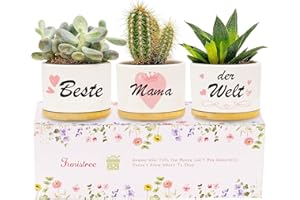 ‎FUNISTREE Funistree Muttertagsgeschenk Sukkulenten Topf Muttertag Mama Geschenk, Beste Mama Der Welt Geburtstagsgeschenk für Mutter Schwiegermutter, Klein Kaktus Blumentöpfe 3er-Set mit Untersetzer Geschenkset