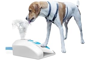 ALL FOR PAWS Fontaine à eau potable d'extérieur pour chien - Refroidisseur - Distributeur d'eau douce