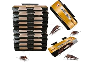 LEXICOCZ Trappola Scarafaggi, Confezione da 10 – Efficaci Trappole Con Esca per Scarafaggi, Con Colla e Attrattivo, Non Tossiche, Ideali per Uso Domestico e Cucina, Protezione Duratura e Facili da Usare