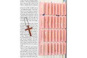 ‎VANRA VANRA Bibelregister für Frauen, Studium, Bibel, Journaling, Zubehör, großer Druck, 96 Registerkarten, altes und neues Testamentstudium, mit leeren laminierten Bibelreitern, Rosa