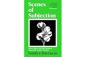 Scenes of Subjection: Terror, Slavery and Self-Making in Nineteenth Century America