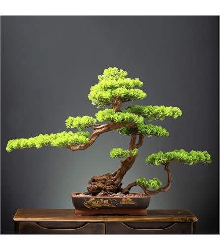 Fotografie Requisite Knstliche Bonsai-Kiefer Kunstpflanze 18cm -  Realistische Topfpflanze Fr Wohnzimmer Bro Dekoration Fotografie