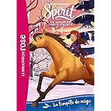 Spirit 04 - La tempête de neige