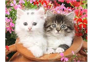 MXJSUA Peinture Diamant Kit de Broderie au Point de Croix Pour Enfants 5D Peinture Diamant Complet Motif Chat Blanc et Temple de Chat Coloré Point de Croix Diamant Décoration Murale 30x40cm