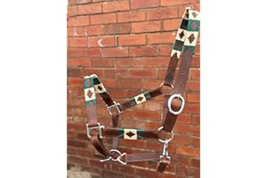 COUNTRYPRIDE Leather Polo Headcollar, Handmade Embroidered Pattern, Brown with Adjustable Straps, Oil Pull-up Leather (Green/Ivory, Cob)