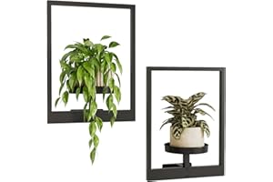Bamworld Lot de 2 étagères murales à suspendre pour plantes d'intérieur et d'extérieur - Support mural en métal noir - Décoration de chambre (pot non inclus)