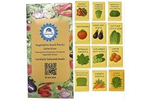 DAMAVAND PRO Vegetable Seeds for Planting UK - 12 Variety Seed Box with 10000+ Heirloom Seeds | Tomato, Green Garden Gift Set for Men Women | Grow Your Own Kit for Allotment Indoor Outdoor Growing