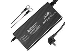 ‎LITIME LiTime 58,4V 10A Ładowarka Do Akumulatorów LiFePO4 z Końcówkami, Specjalna Ładowarka Do Akumulatorów AC/DC LiFePO4, Ładowarka Do Akumulatorów Litowych/LiFePO4 Dla Akumulatorów 51,2V