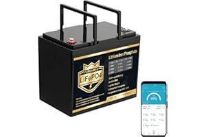 PUPVWMHB 12V 100Ah MINI LiFePO4 Lithium Batterie, Bluetooth Lithium Batterie, 100A BMS, bis zu 15000 Zyklen, Max.1280Wh Energie mit Low Temp Cut off, perfekt für RV, Solar, Trolling Motor