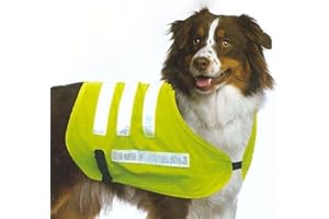 COINGALLERY Urban Living Reflective Dog Jacket Coat Large [51 x 39 x 25]