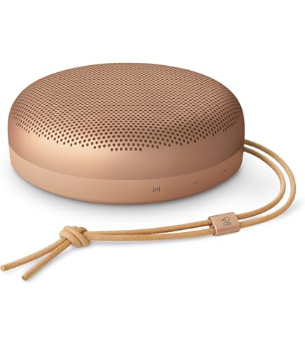 Bang & Olufsen BeoPlay A1 60 Watt Wireless Bluetooth Speaker