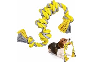 DR. MUYA Hundespielzeug Seil 62cm 350g 6 Knoten unzerstörbare Zerrspielzeug 100% Baumwolle Interaktives Spiel Geeignet für kleine und mittelgroße Hunde