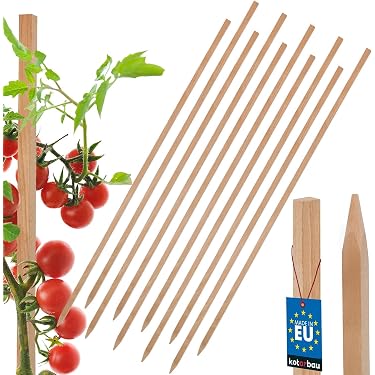 Amazon.de Am hufigsten gewnscht: Artikel, die in Rankstbe am hufigsten  zu Wunschzetteln oder Geschenklisten hinzugefgt werden.