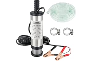 Anesty Water Pump 12V Diesel Fuel Pump, Small Oil Fuel Transfer Pump Submersible Water Pump with Clip, Removable Filter, 3M Power Cord and Hose (Φ 38mm)