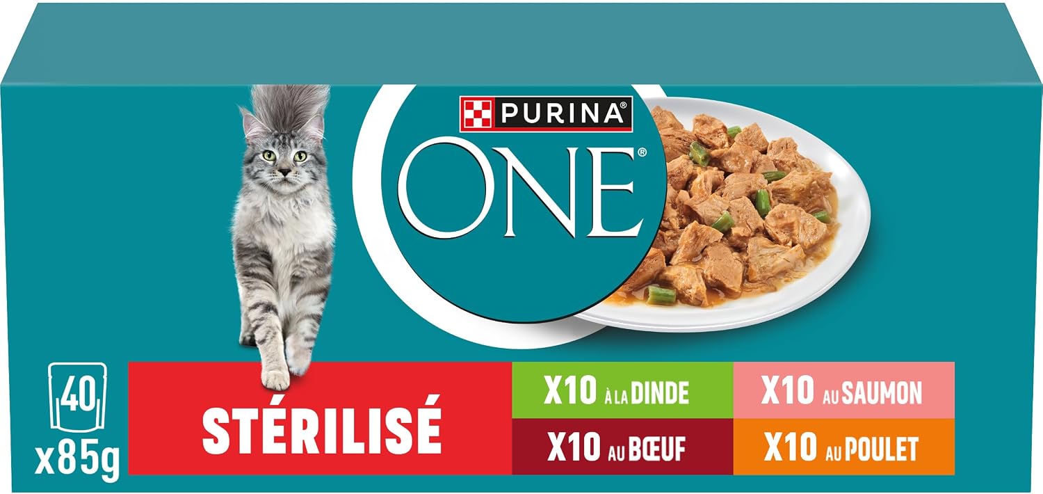 Vue 10