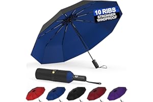 BALORIZ Windproof Double Layer Umbrellas, Compact Travel Folding Umbrella, Auto Open & Close Portable Wind & Rain Resistant Umbrella with 10 Ribs for Men, Women, Children