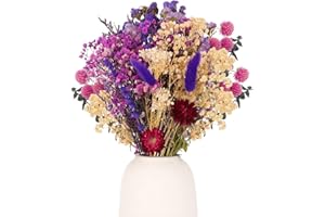 Vyuwast 30 Stück Trockenblumen Deko Violett Set Don't Forget Me Natürliche Getrocknet Blumen Dried Flowers Pflanzen Blumenstrauß Boho Deko für Wohnzimmer Home Hochzeit Vasen Tischdeko