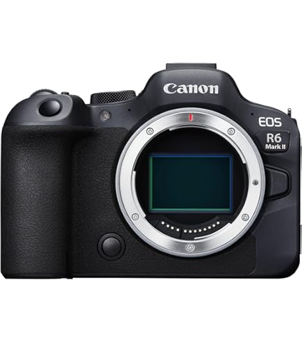 Canon EOS 5D Mark II SLR-Digitalkamera inkl. EF 24-105mm L IS USM