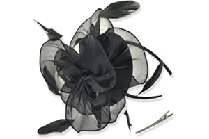 DRESHOW Damen Fascinators Hut Cocktail Party Tee Kopfbedeckung Blume Mesh Organza Bänder Federn auf Einem Stirnband