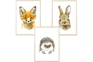 MeinBaby123® Lot de 3 posters pour chambre d'enfant,Format A4,Animaux de la forêt,Tableau mural,raton laveur, lapin, cerf,Poster mural de qualité supérieure (animaux de la forêt,Set de 1)