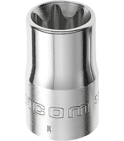 Caja de Dados Torx Hembra 1/4 3/8 1/2, Vaso Perfil Torx E E4, E5, E6