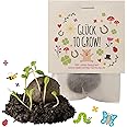 10x "Glück to grow" Samenbomben/Glücksbringer/kleine Geschenke Kollegen Saatbomben Geschenk Gäste Geschenke Gastgeschenk Kind