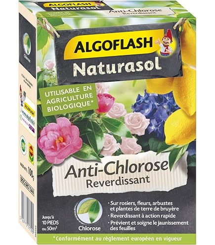 Algoflash Blumen- Und Sträucherdünger 2 Kg – Kräftiges Wachstum & Viele Blüten