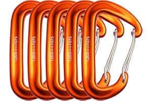 Sllwari 5 Pcs Mousqueton, 7075 Aluminium 12KN (1200 KG), Mousquetons avec Ressort Acier Inoxydable Choix,Forme D,pour Clef, Sac à Dos, Randonnée