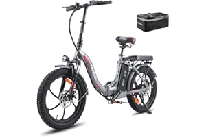 Fafrees Bicicleta Eléctrica F20 Pro, Bicicleta Eléctrica Plegable 20 Pulgadas Unsex Adulto, 250W Bicicleta Urbana Eléctrica, Batería 18Ah, Power Assist 120km