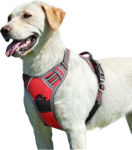 Hjyokuso Herstelpak voor honden, herstelpak voor honden, lange mouwen Hjyokuso Herstelpak voor honden, herstelpak voor honden, lange mouwen