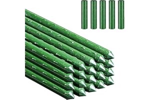 LAOJU Gartenpflanzenpfähle Pflanzenstäbe Garten Pflanzenstützen Stäbe Pflanzhilfe Rankstäbe 20 Stück Grüne Pflanzstab mit 5 Stück Pflanzstabverbinder (41CM)
