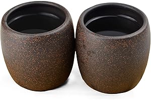 YXHUPOT Taza de té (2 unidades), arcilla china Yixing de arena negra auténtica Heijingan Zisha GongfuTea