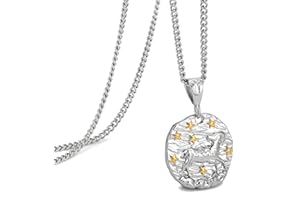 Speroto Zodiac Necklace - Stainless Steel 12 Constellation Necklace for Men/Women Gold/Silver Plated Matching Necklaces - Horoscope Astrology Embossed Pendant Necklace - Gifts for Women Men