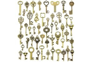 YiYFiT Clés Vintage 50 clés en Bronze Antique,Squelette clé Charme Set aléatoire Forme et Taille Charme Key, Mixed Key Collier Pendentif Bricolage Bijoux Fabrication à la Main Accessoires