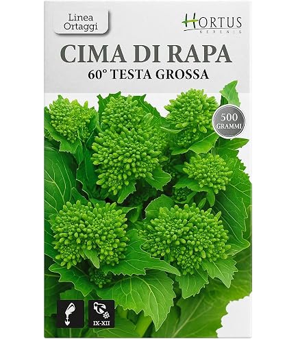 Cime di rapa ricette - Tipiko Shop