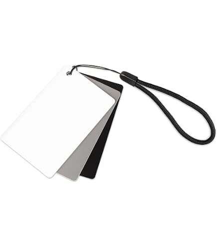 Lightdow Carte Balance Des Blancs Gris 30x30cm Pliable - Outil Photo Professionnel 18% Gris & Blanc