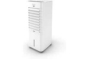 ‎OLIMPIA SPLENDID Olimpia Splendid 99308 Peler 4D Kühler mit Fernbedienung, Timer und Kanister 4 Liter, 350 m3/h, 75 W