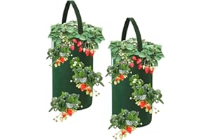 FALUCKYY Strawberry Planter Bags, 2 Pack 10 Gallon Hanging Strawberry Grow Bags, Breathable Non-woven Strawberry Growing Bag Planting Pots for Plants Herbs Flowers, 22 x 38cm