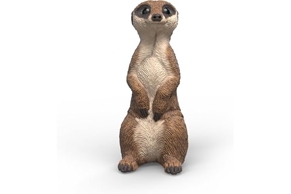 schleich WILD LIFE | Surikaten 14935 | Detaljerad djurfigur och samlarfigur | Zoo Toys | Present för flickor och pojkar | Födelsedagsdekoration