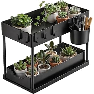 Lifelong 2 Tier Plant Stand Indoor with Storage Tray and Hooks, Black Metal Plant Shelf for Small Potted Plants, Tabletop Organizer Rack for Home Kitchen Office, Space Saving Planter Stand