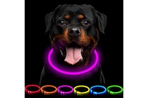 CCWW LED Leuchthalsband Hunde Halsband USB wiederaufladbar - Längenverstellbarer Haustier Sicherheit Kragen für Hunde und Katzen- 3 Modus