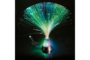 DGLIANYA Fiber Optic Lamp Color-Changing USB or Battery Powered Fairy Decoration Night Lights Mood Novelty Lamps for Bedroom Parties Weddings（Without Remote Control）