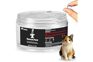 1DFAUL 6.35 oz Exhibits Gel for Museum, Removable Clear Museum Paste Putty Wax, Reusable & No Residue, Fixed Collection Artifacts and Decorations to Prevent Vibration, Falling
