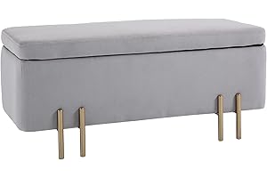HOMCOM Sitzbank mit Stauraum Polsterbank mit Samtoptik, Sitztruhe mit Metallbeine, Truhenbank für Wohnzimmer Schlafzimmer Flur 100 x 40 x 42 cm, Hellgrau