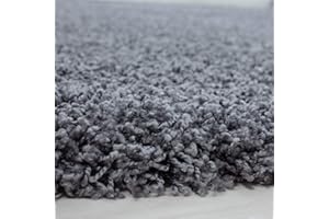 LG TRADERS LIMITED Small X Large Non Slip Shaggy Rug Carpet Soft Thick Lounge Bed Room Hallway Mess Area Rugs Grey, 120 x 170 cm (4 ft x 5 ft 6 in)